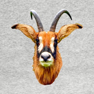 Roan Antilope T-Shirt